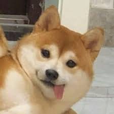 Rafael Fernandez avatar